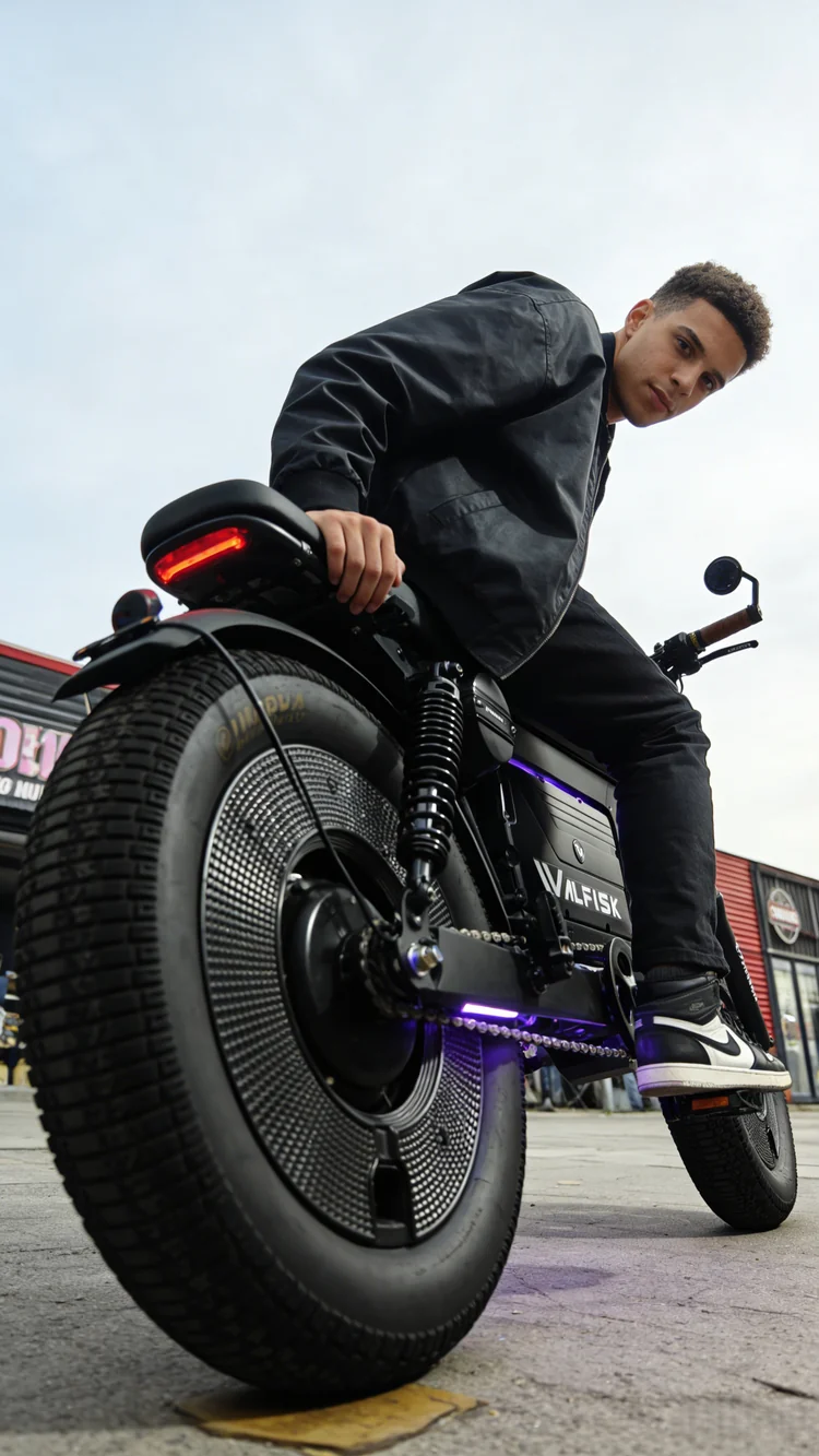 walfiskebike hero