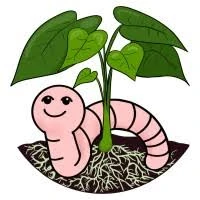 Wriggle Brew